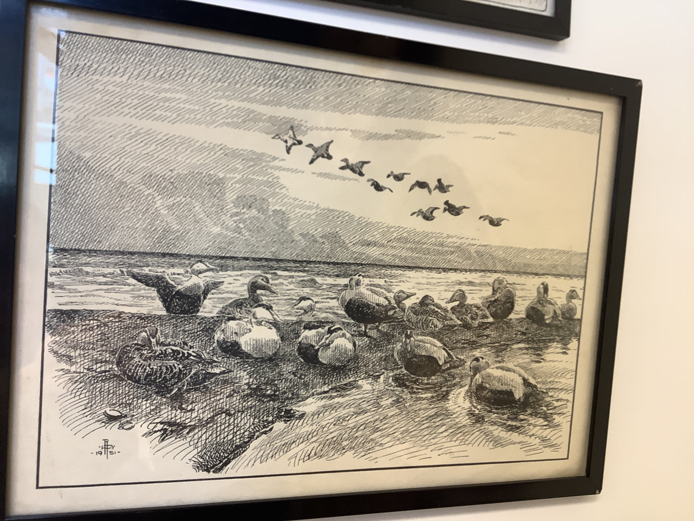 Coastal Ducks/Black Frame