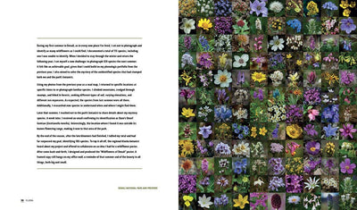 Parklands: America’s National Parks and Public Lands