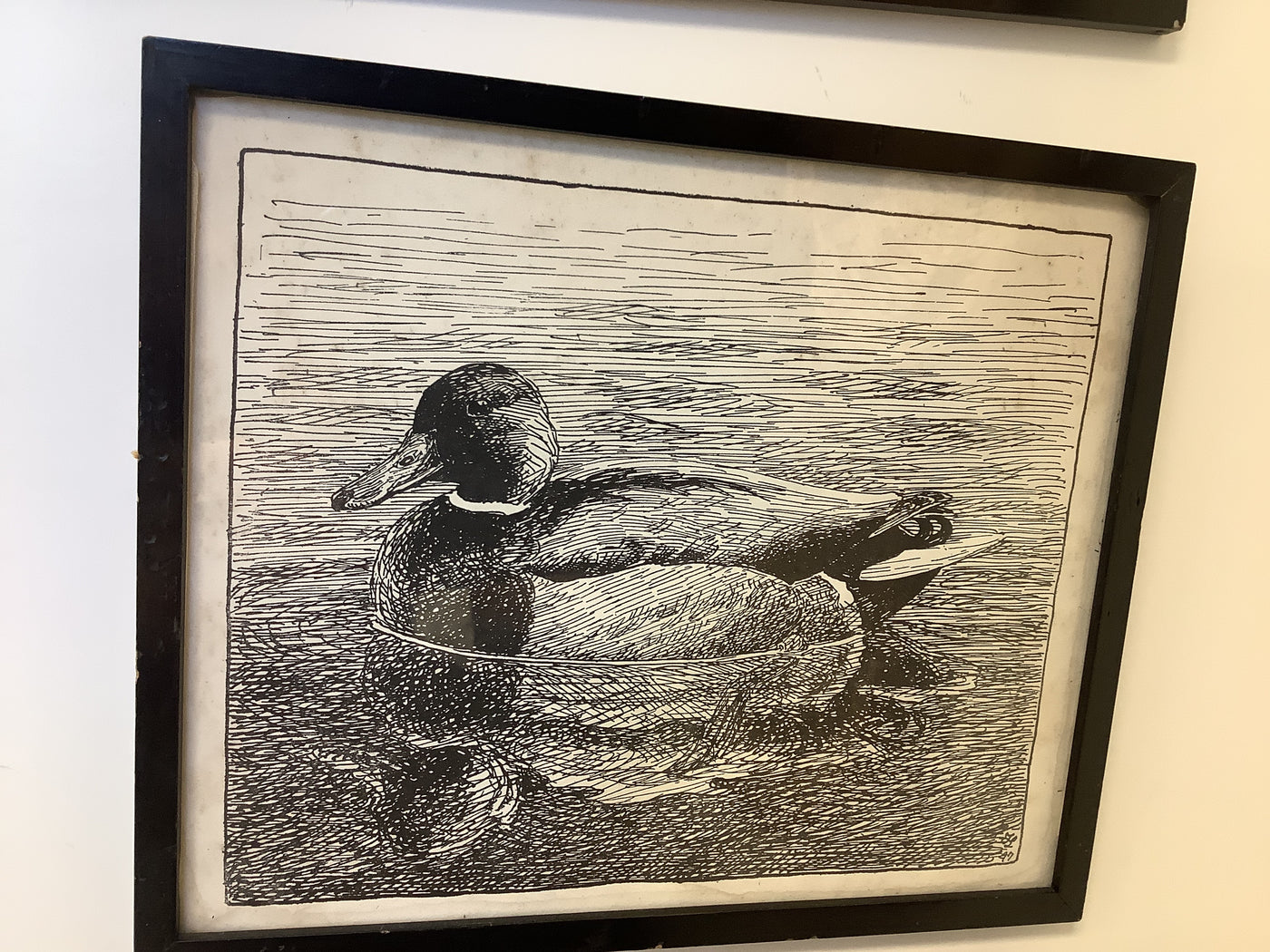 Mallard/Black Frame