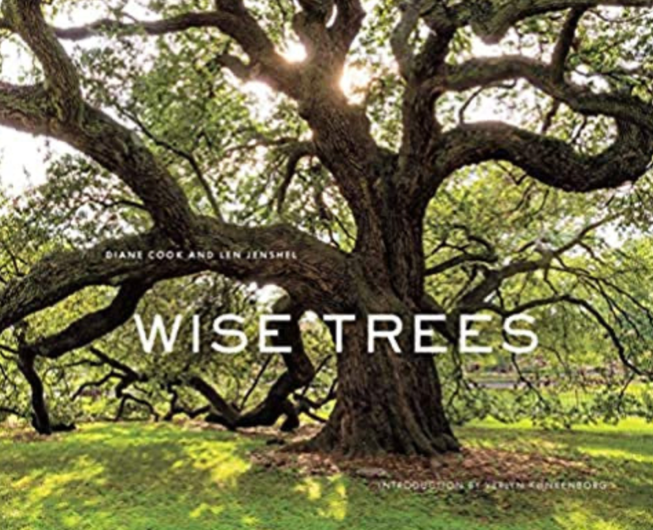 Wise Trees