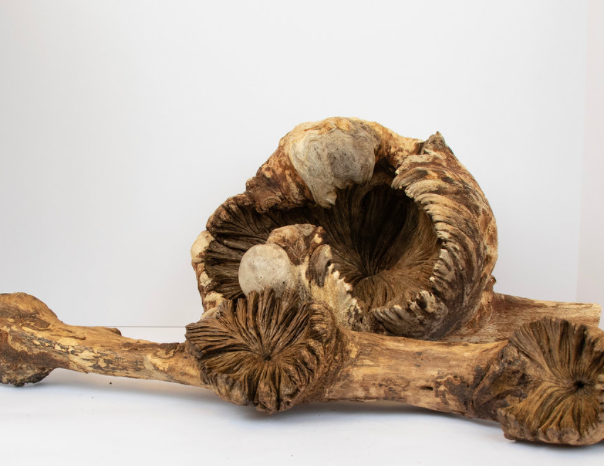 Wooden Mushroom Flower
