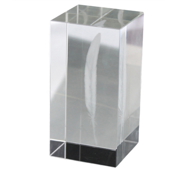 FEATHER-GLASS HOLOGRAM