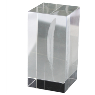 FEATHER-GLASS HOLOGRAM