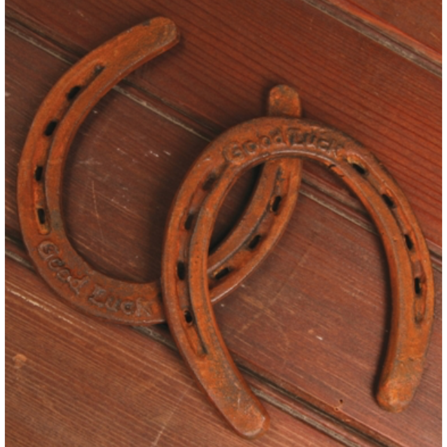 GOOD LUCK HORSE SHOE-CAST IRON-RUST