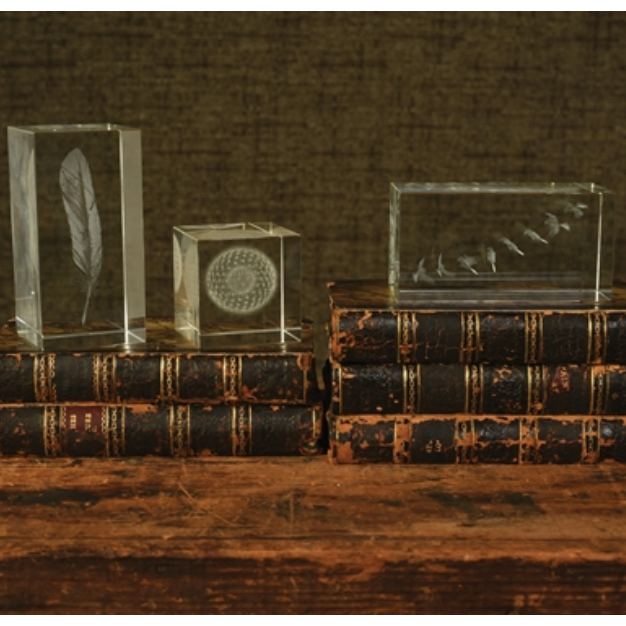 FEATHER-GLASS HOLOGRAM