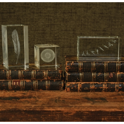 FEATHER-GLASS HOLOGRAM