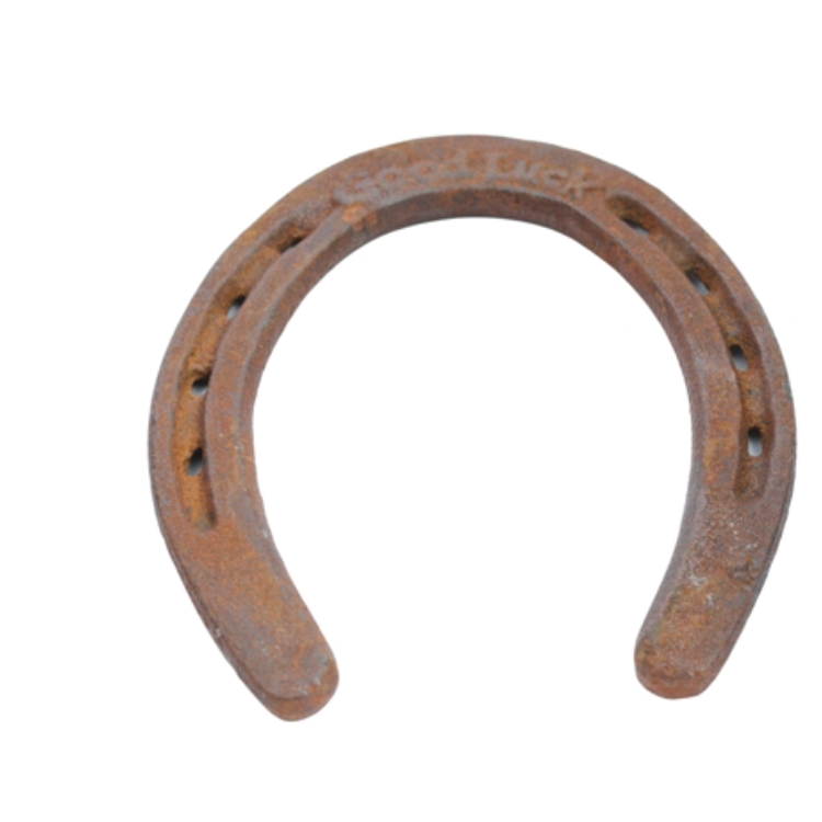 GOOD LUCK HORSE SHOE-CAST IRON-RUST
