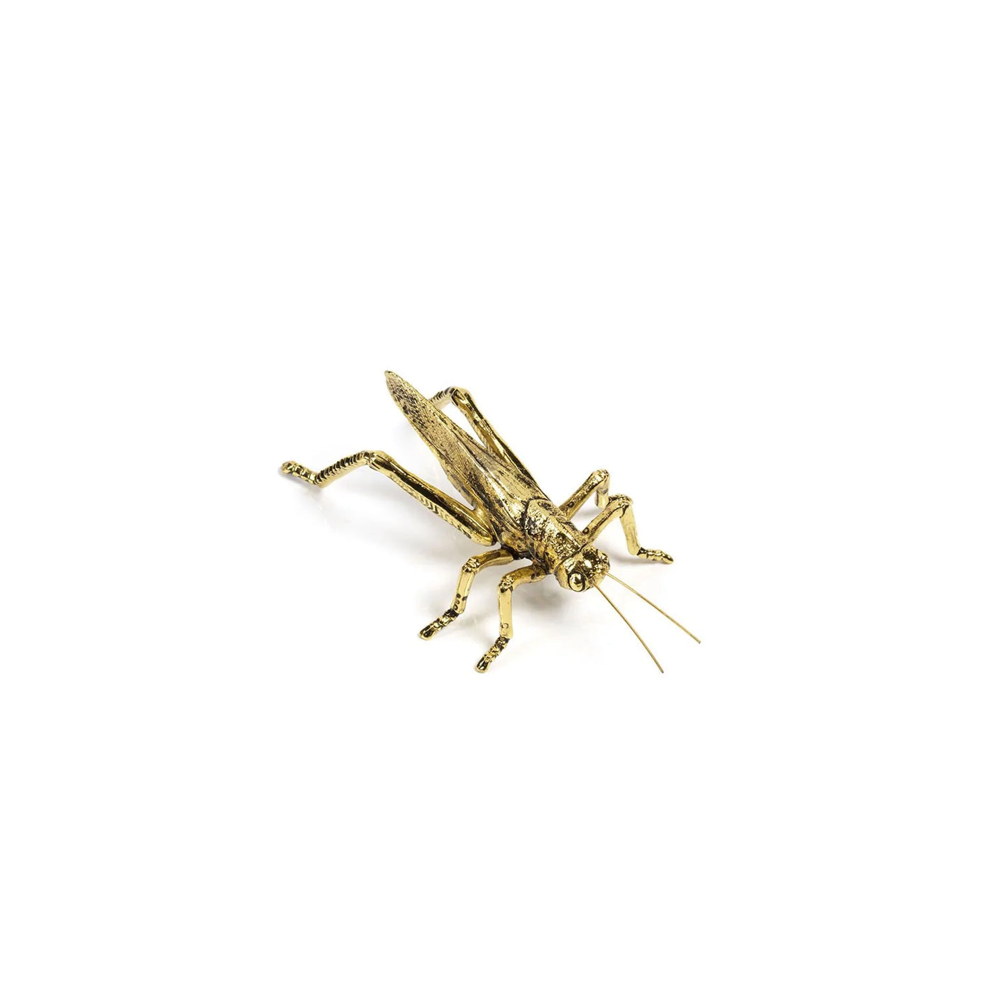 Decorative Gold Insect - Grasshopper