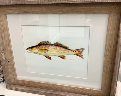 11x14 Fish Print in Wooden Frame