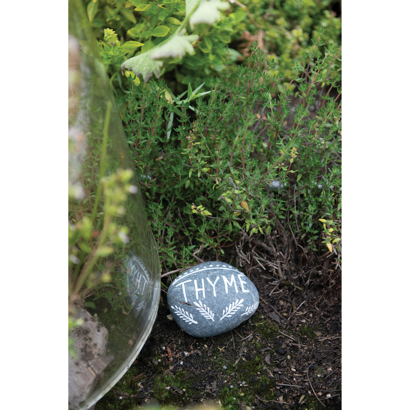 Hand-Painted Natural Stone Herb Garden Markers, 8 Styles