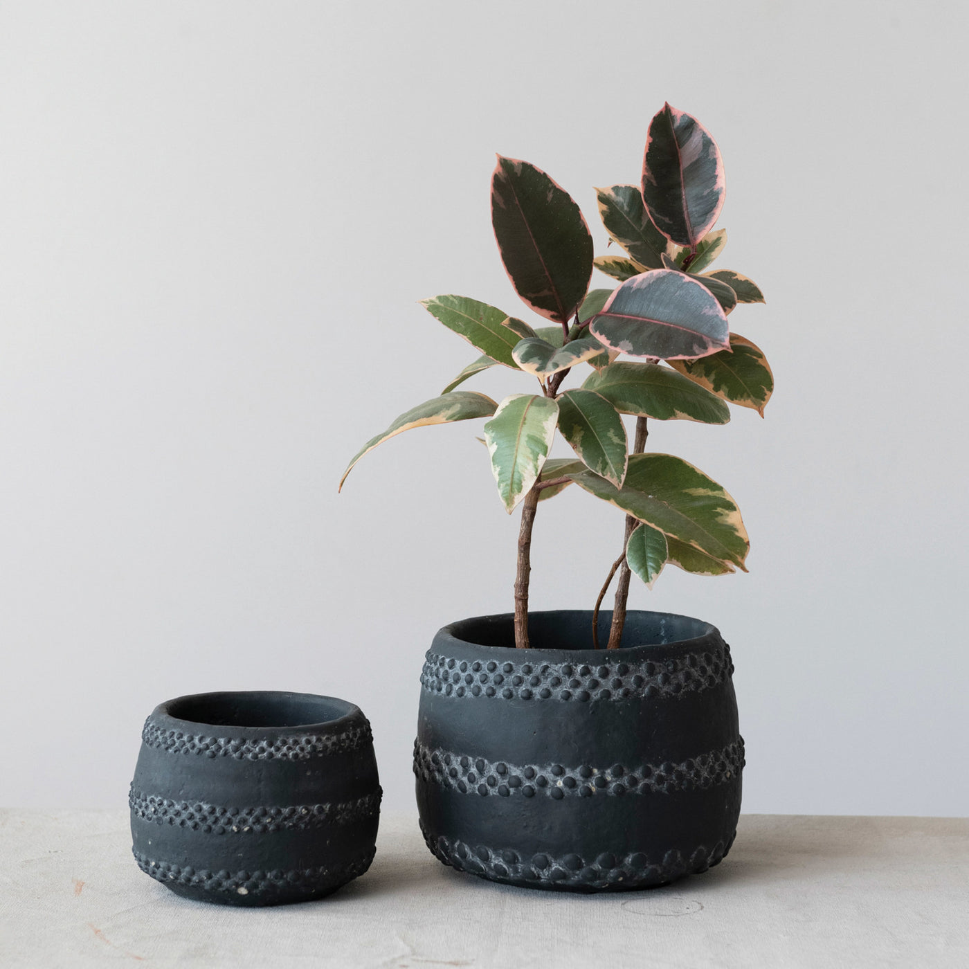 Terra-cotta Planter with raised dots